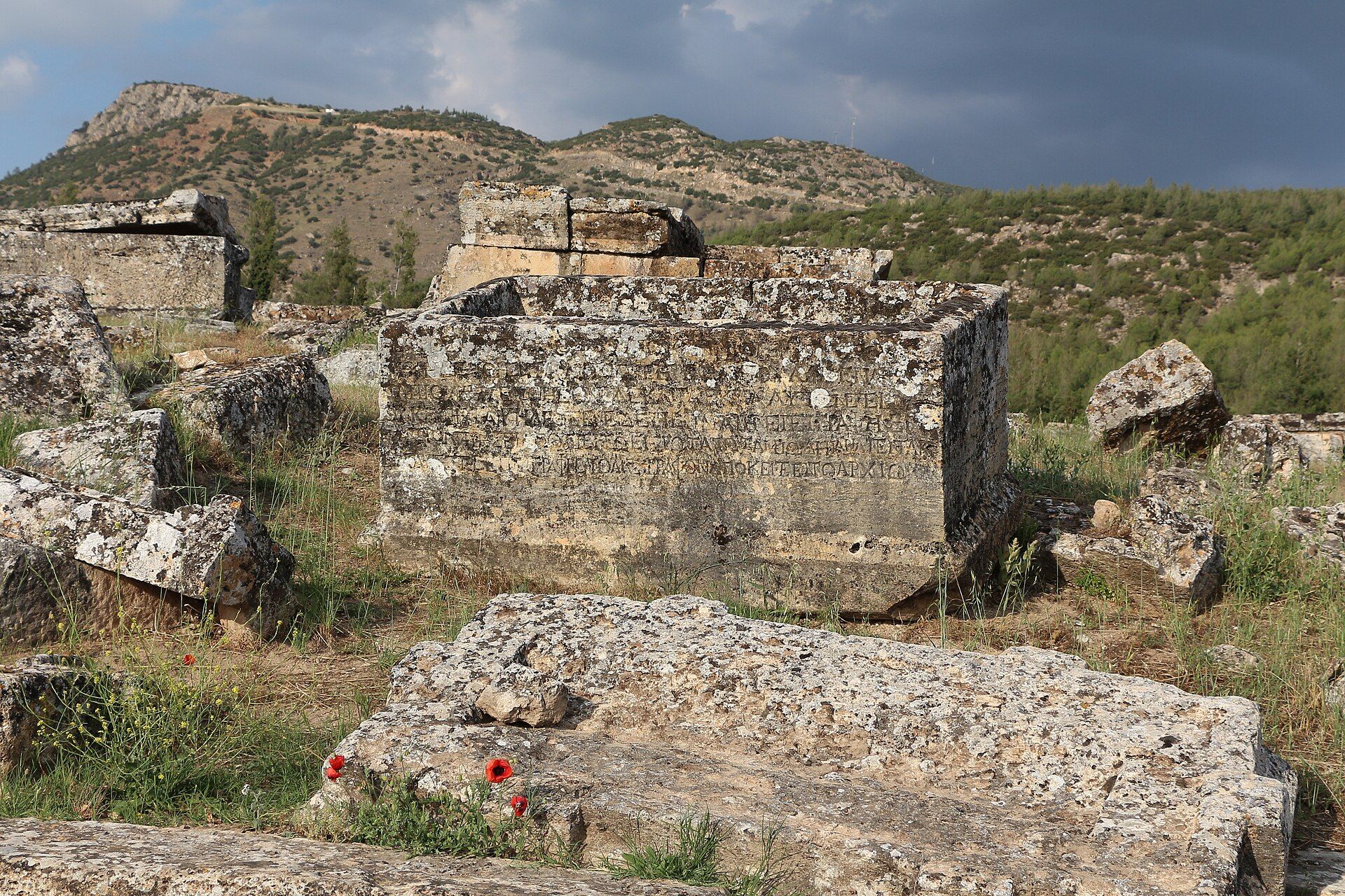 Stone sarcophagi in the Hierapolis necropolis