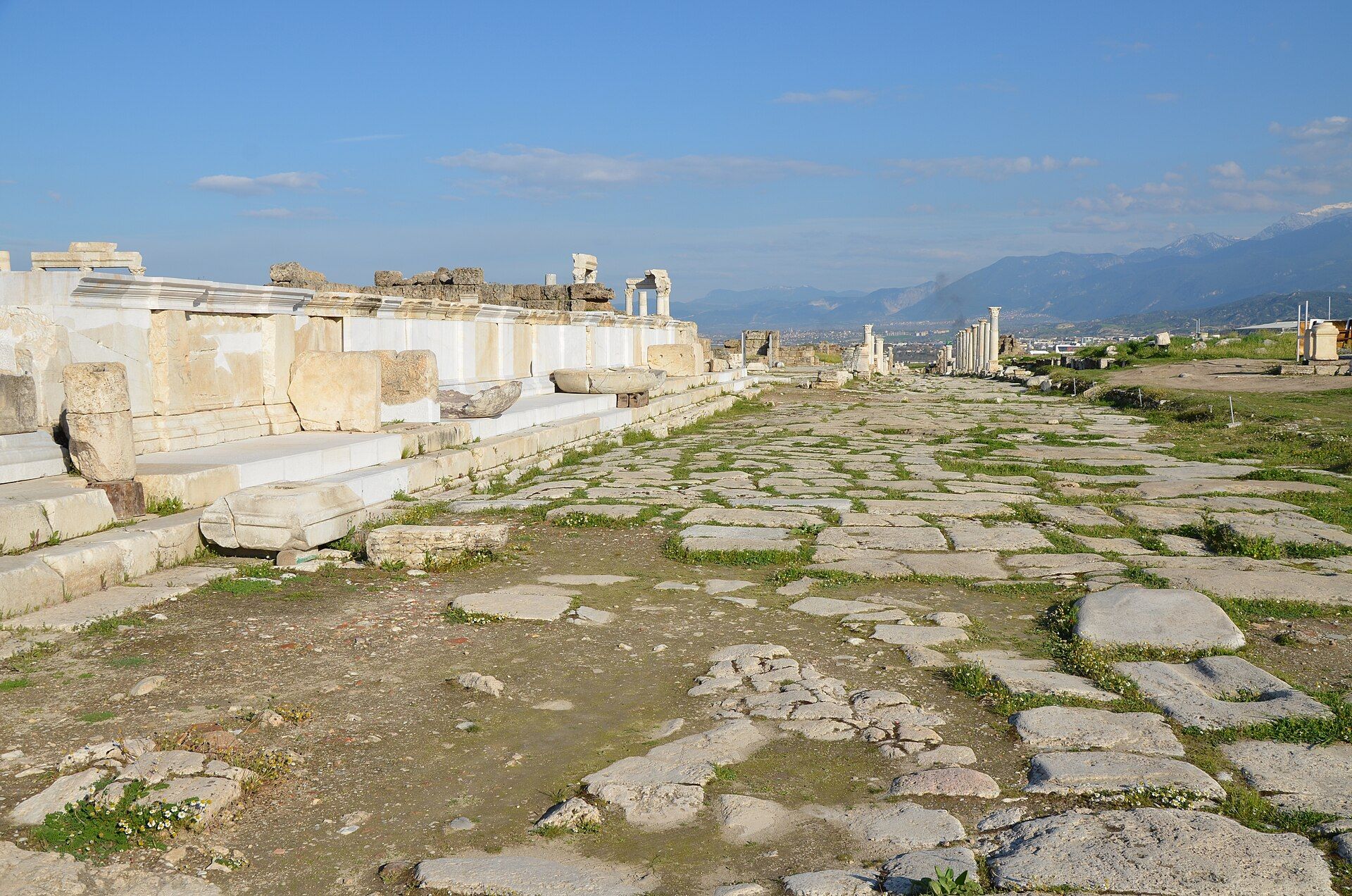 Colonnaded street and ruins at Laodicea on the Lycus