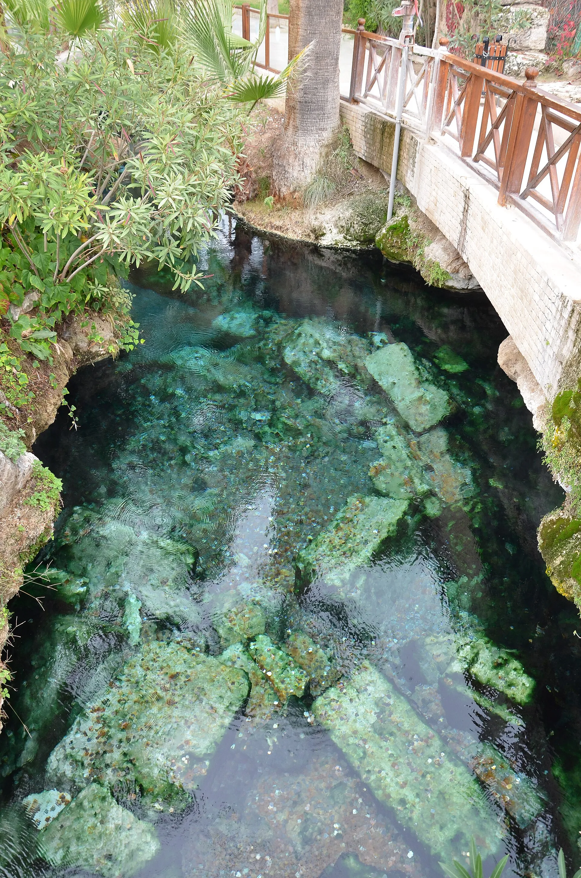 Swimmers in the warm thermal water of Cleopatra Antique Pool at Pamukkale, among sunken Roman columns